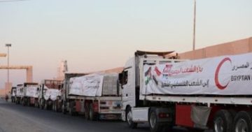 “عشائر غزة”: شكرا مصر والرئيس السيسي على دعم شعبنا.. فيديو