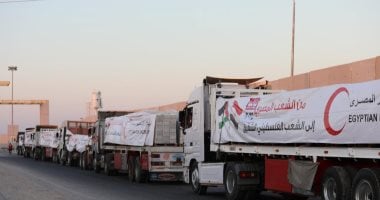 “عشائر غزة”: شكرا مصر والرئيس السيسي على دعم شعبنا.. فيديو