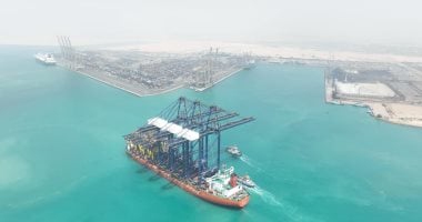 محطة هاتشيسون بميناء السخنة تستقبل 15 “ونش” لتنفيذ البنية الفوقية.. صور