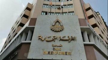 10 مليارات دولار جمعتها الحكومة من بيع الأراضي بالدولار خلال 17 شهراً