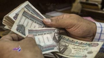 شركات التأمين تسدد تعويضات 5.6مليار جنيه لعملائها في مايو 2025