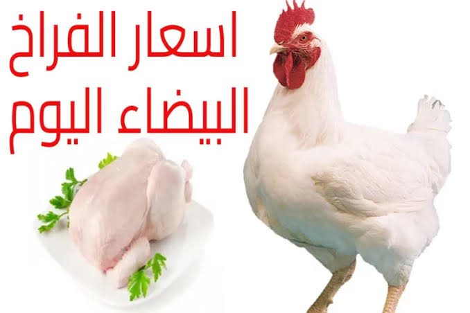 “الدواجن بكام يا ست الكل ”.. سعر كيلو الفراخ البيضاء اليوم الأحد 27 يوليو 2025 في الأسواق المصرية والمزارع.. آخر تحديث