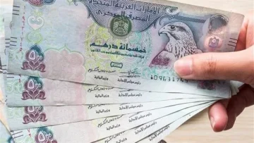 تأثير تقلبات أسعار الصرف: تحليل لواقع الدرهم الإماراتي والجنيه المصري في سياق الاقتصاد العربي