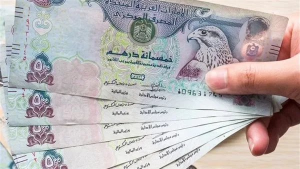 تأثير تقلبات أسعار الصرف: تحليل لواقع الدرهم الإماراتي والجنيه المصري في سياق الاقتصاد العربي