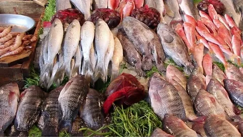 اسعار السمك اليوم الأربعاء 30 يوليو 2025 في جميع الأسواق والمزارع السمكية