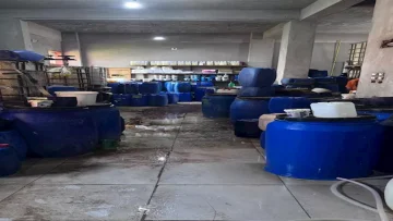 ضبط مصنع مقلد في المنوفية: مخاطر المواد الخطرة على الصحة العامة والمجتمع