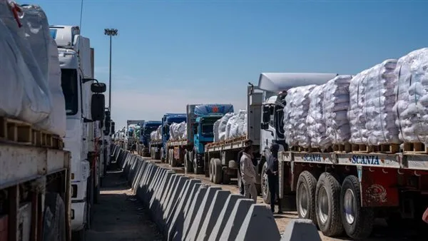 تعزيز الروابط الإنسانية: وصول شاحنات المساعدات المصرية إلى فلسطين ودورها في دعم المجتمعات المتضررة