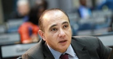 سفير مصر لدى كينيا: مشاركة أبناء الجالية فى انتخابات “الشيوخ” تعكس روح المسؤولية