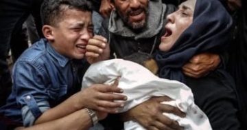 متحدث الخارجية: حملات التشويه ضد مصر «ممنهجة» وموقفنا ثابت تجاه غزة