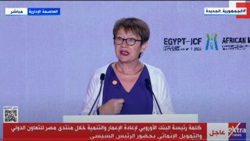 دعم الشركات الصغيرة والمتوسطة أولوية في استراتيجيتنا بمصر