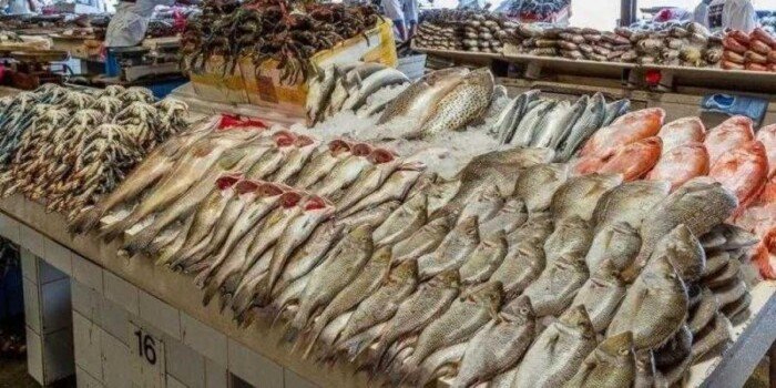 أسعار الأسماك والجمبري لليوم الأحد 3 أغسطس 2025: تحديث شامل للمستهلكين