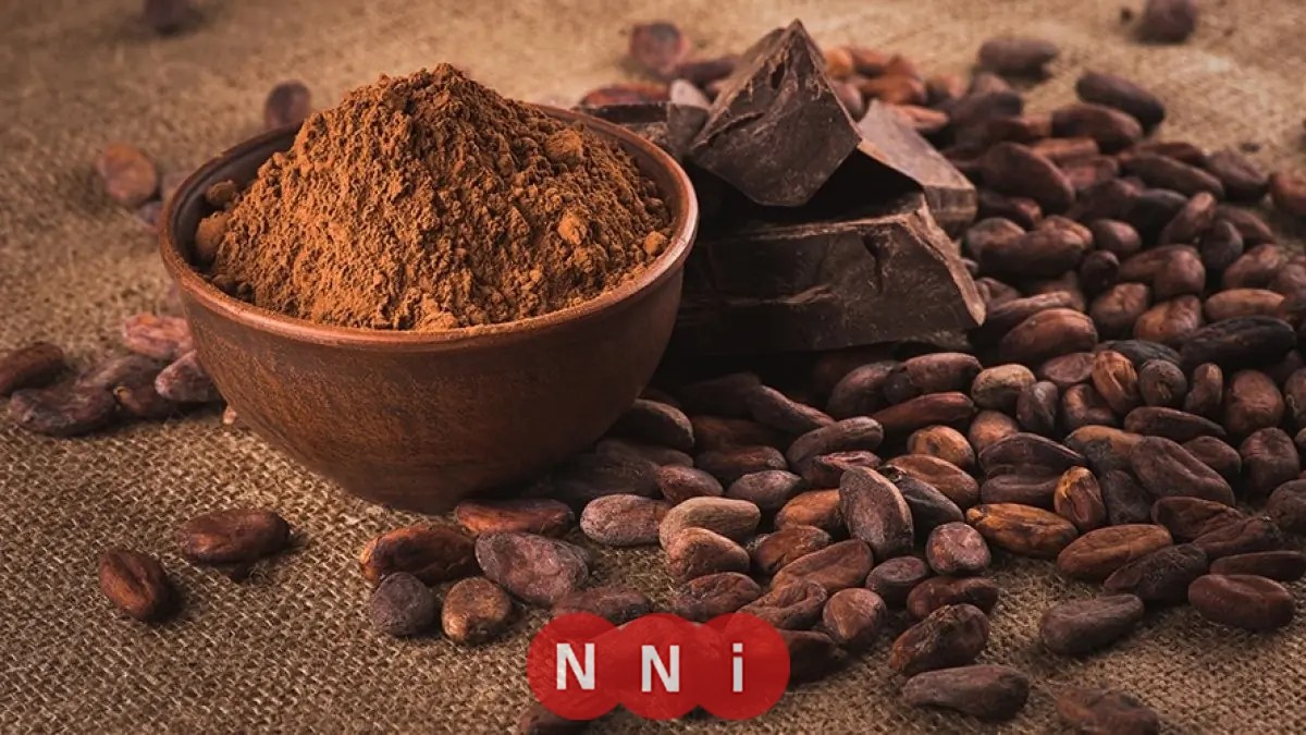 ارتفاع تاريخي في أسعار الكاكاو بمقدار 26 دولارًا وزيادة في أسعار الحبوب والسلع الزراعية