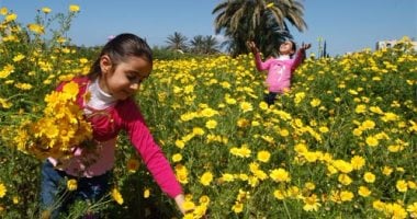 موعد فصل الربيع وبدايات وأطوال فصول السنة 2026 باليوم والتاريخ