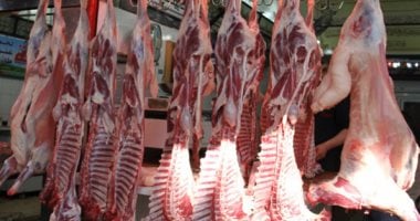 التموين تطرح منتجات اللحوم والأسماك بتخفيضات 20% بمناسبة أعياد الميلاد