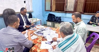 بدء فرز الأصوات بعد انتهاء جولة إعادة انتخابات النواب بالدوائر الـ19 الملغاة