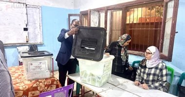 الحصر العددى لدائرة ميت غمر فى الدقهلية.. أحمد شرعان يتصدر بـ64786 صوتًا