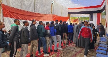 بدء تصويت المصريين فى نيوزيلندا بإعادة الدوائر الـ 19 الملغاة بالمرحلة الأولى