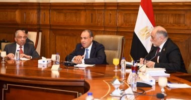 سيادة مصر خط أحمر.. أبرز 20 تصريحًا فى اجتماع وزير الخارجية بمجلس الشيوخ