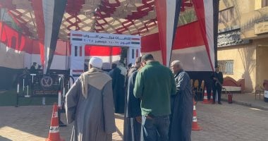 الهيئة الوطنية للانتخابات: انتظام التصويت باليوم الثانى لإعادة الدوائر الـ19