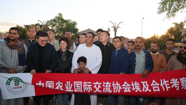 لبحث فرص الاستثمار.. وفد من رجال الأعمال الصينيين يزور دار السلام بسوهاج