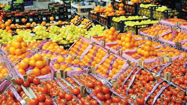 67 مليار دولار قيمة صادرات مصر من الغذاء والحاصلات الزراعية خلال 10سنوات