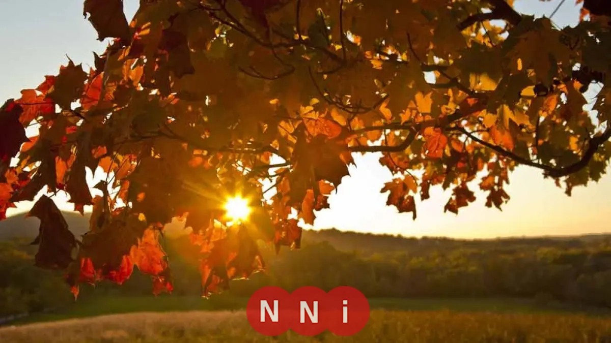 الأرصاد تكشف عن تقلبات جوية حادة في الخريف تجمع بين الأمطار والحرارة العالية