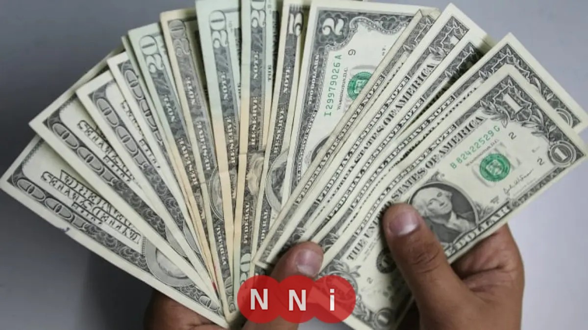 سعر الدولار اليوم مقابل الجنيه في البنوك ليوم الإثنين 1 ديسمبر 2025