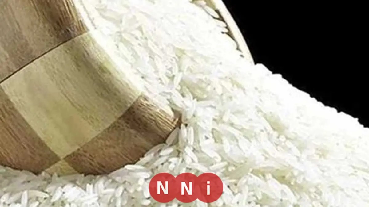 الإحصاء تعلن عن ارتفاع نصيب الفرد من الأرز بنسبة 36.6% في 2024 بفضل زيادة الإنتاج