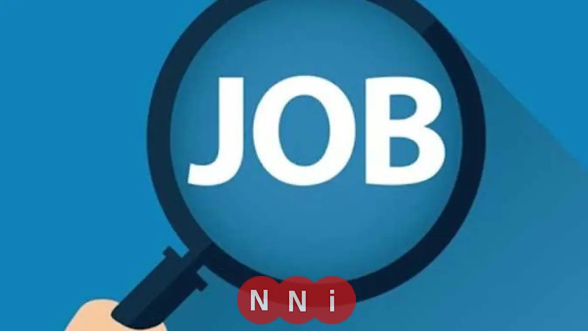 وظائف جديدة بهيئة الطاقة المتجددة من الكهرباء: التقديم مفتوح حتى 17 ديسمبر