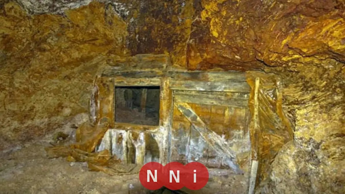 اكتشف أسرار 50 كاميرا في الجولد روم بمنجم السكري ومخاطر المواد السامة