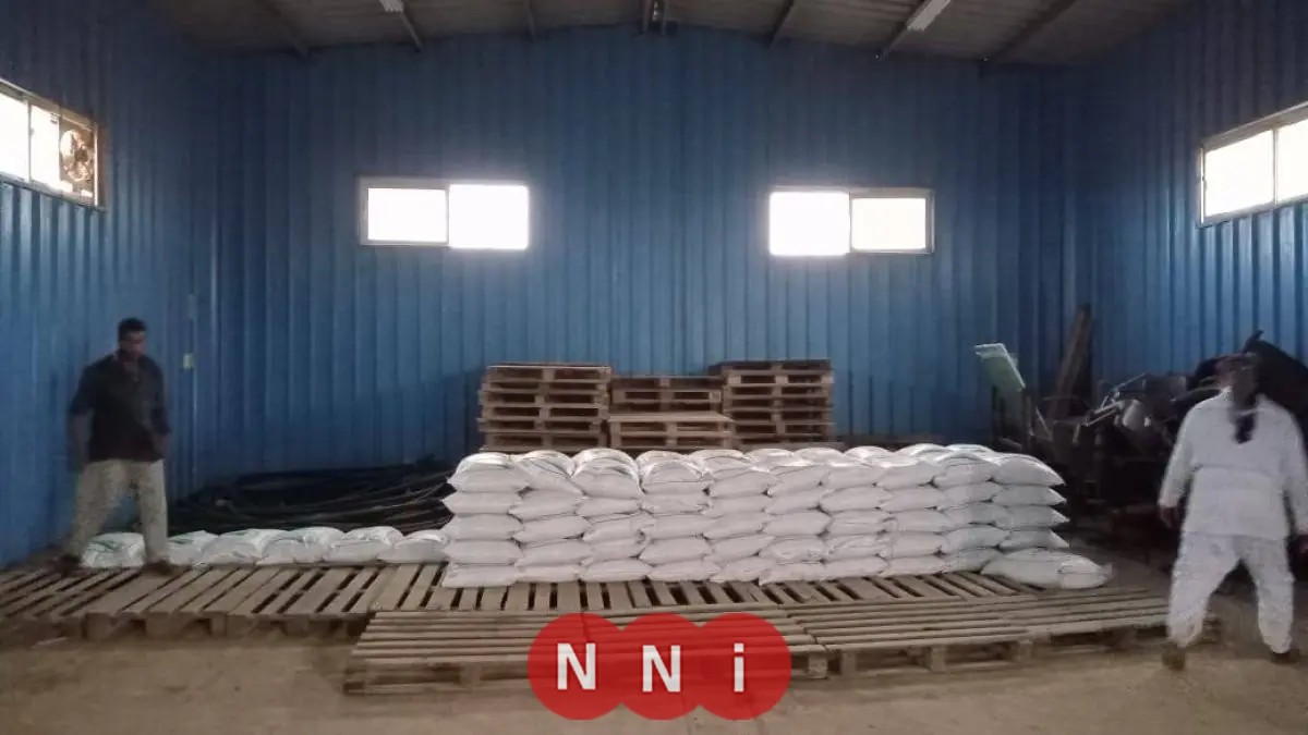 وزارة الزراعة توفر 100 طن تقاوي شعير و33 ألف شتلة زيتون مجاناً