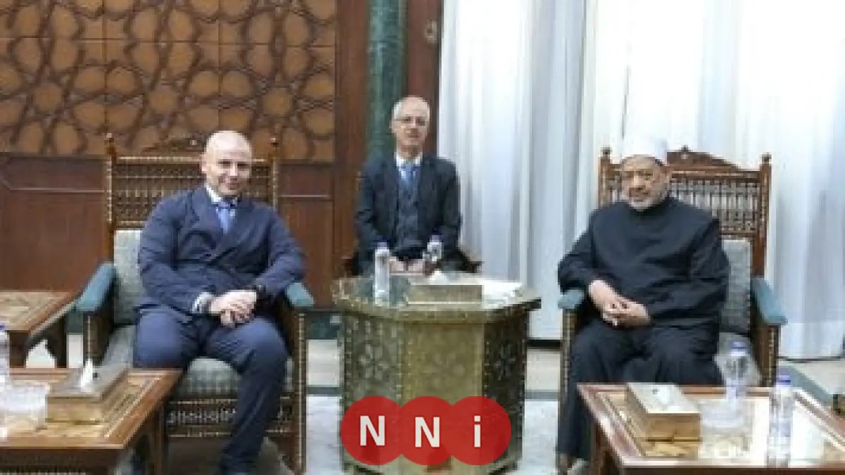 شيخ الأزهر يحذر: تفاقم الظلم في القضية الفلسطينية يجعل الحياد غير مقبول