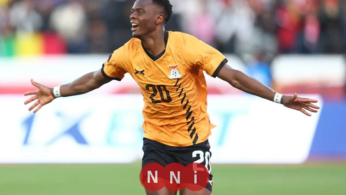 زامبيا تواجه جزر القمر: أبرز الأرقام والحقائق عن مباراة المجموعة الأولى في كأس الأمم الأفريقية