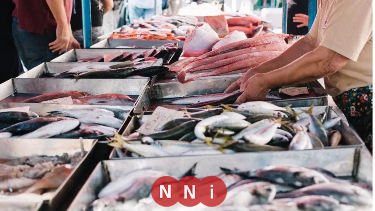 تحديث أسعار الأسماك اليوم الأحد: البلطي يبدأ من 68 جنيهًا فقط