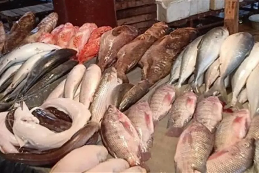 أسعار السمك والمأكولات البحرية اليوم السبت في سوق العبور