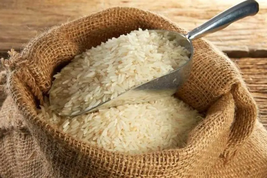 ارتفاع الأرز والسكر والجبن وتراجع زيت الذرة اليوم الاثنين بالأسواق (موقع رسمي)