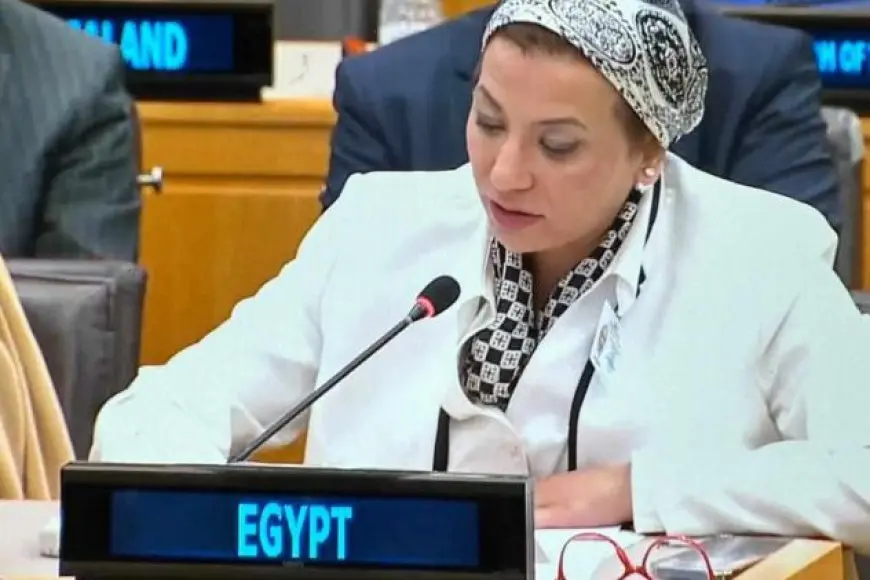 وزيرة البيئة: يجب على الدول الكبرى تحمل مسؤولياتها في تمويل جهود المناخ