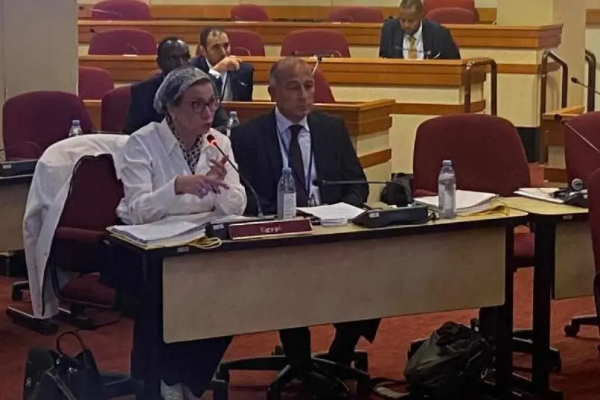 وزيرة البيئة: مصر تحرص على توحيد جهود القارة في مجال الطاقة الجديدة والمتجددة
