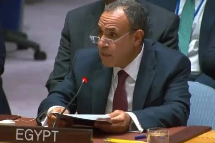 وزير الخارجية: لا يمكن قبول أن تظل إفريقيا والدول العربية بلا تمثيل دائم بمجلس الأمن