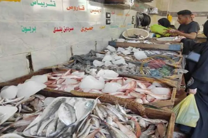 ارتفاع البلطي والجمبري.. أسعار الأسماك اليوم في سوق العبور