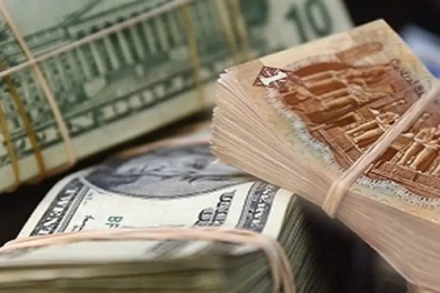 الدولار يتراجع أمام الجنيه خلال تعاملات البنوك المصرية اليوم