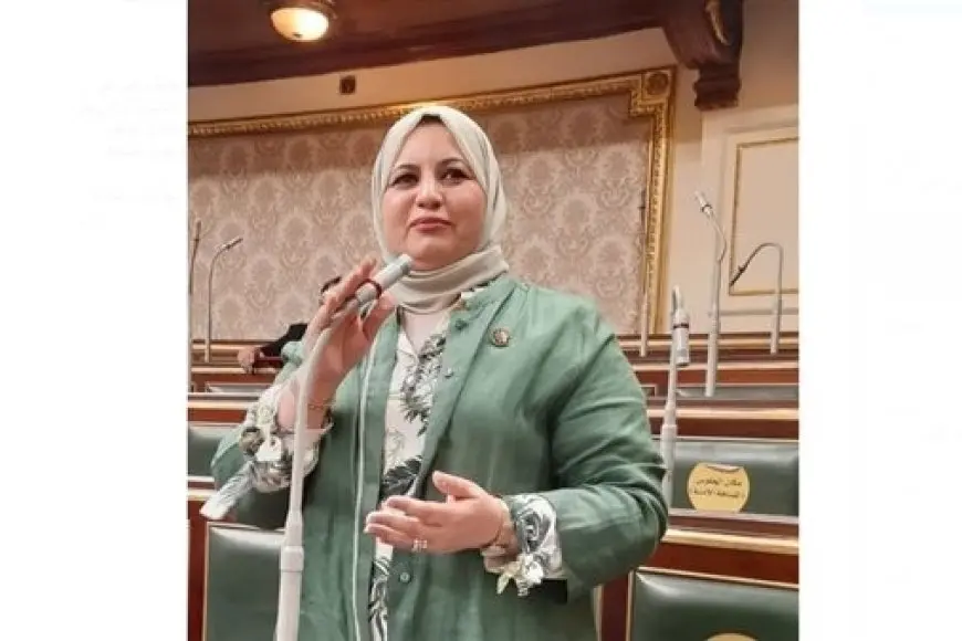 النائبة عفاف زهران تطالب الحكومة بتعزيز الرقابة على السائقين ومراجعة شروط منح رخص القيادة