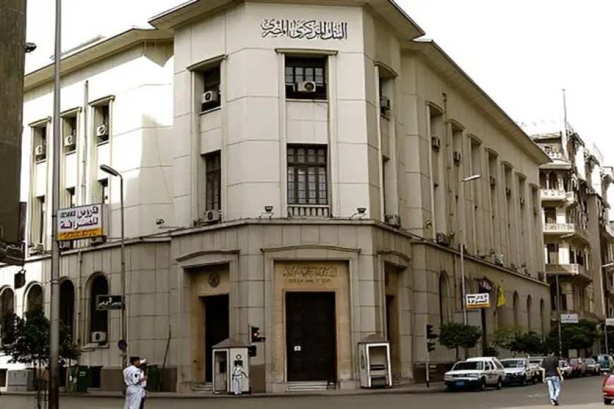 فيتش: لا يوجد دليل على تدخل المركزي المصري في سوق الصرف منذ التحرير الأخير