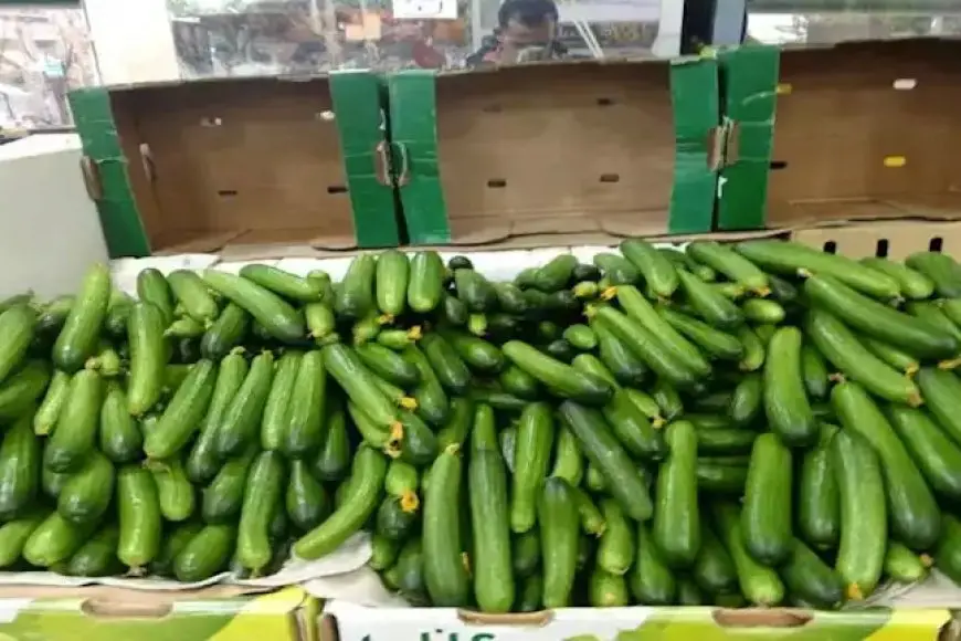 ارتفاع الخيار والفلفل .. أسعار الخضراوات والفاكهة في سوق العبور اليوم