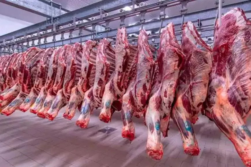 ارتفاع أسعار اللحوم والسكر والعدس والزيت اليوم السبت في الأسواق (موقع رسمي)