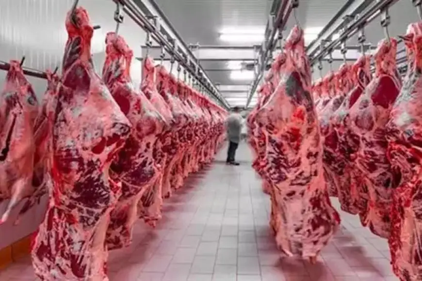 خريطة الأسعار اليوم: ارتفاع اللحوم وانخفاض الحديد والذهب يواصل الصعود