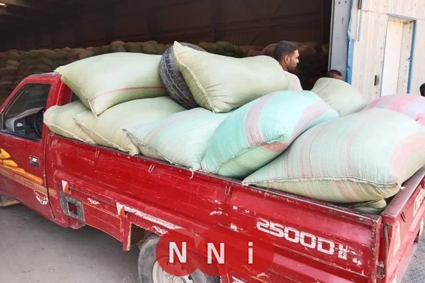 موسم توريد متميّز.. المنيا تتجاوز المستهدف من محصول القمح بنسبة 131%