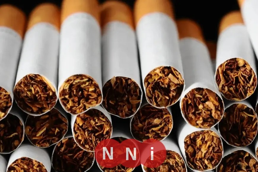 هل ستشهد أسعار السجائر في مصر ارتفاعًا بعد تعديل الضرائب؟ شعبة الدخان تقدم توضيحات.