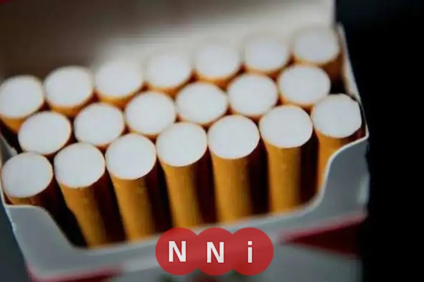 الضرائب: تعديل أسعار السجائر وزيادة قدرها 50 قرشًا لأول مرة منذ عام 2023