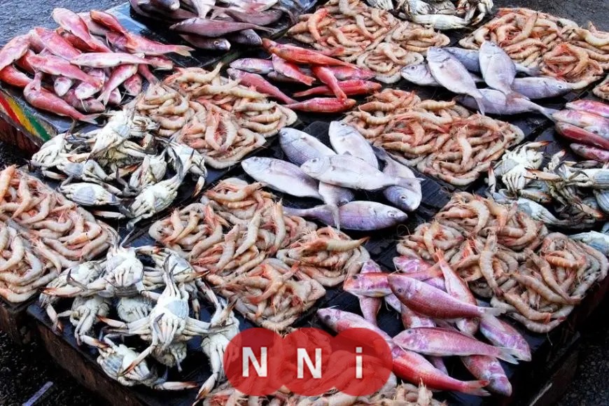 أسعار الأسماك في سوق العبور اليوم الجمعة 18 يوليو 2025